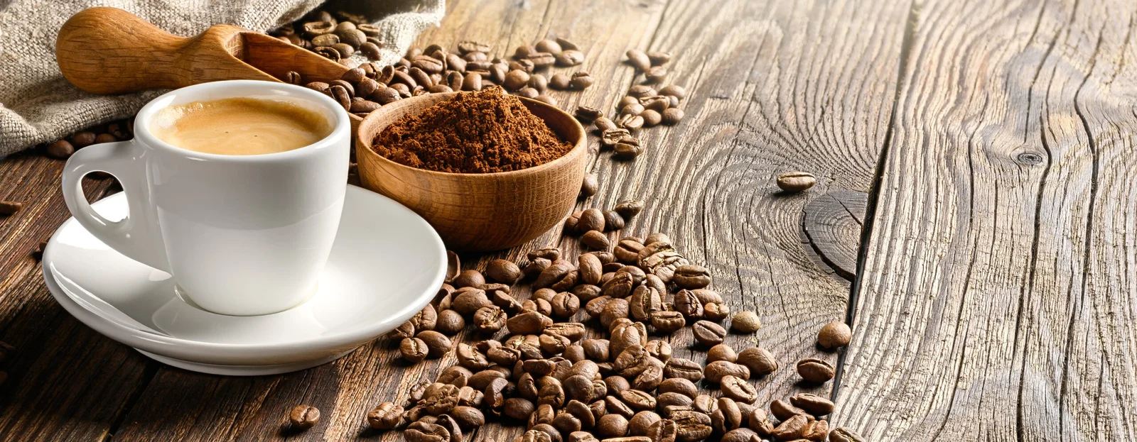 Café Royer tasse et graine de café